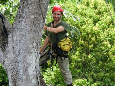 Evan Gora climbing a tree