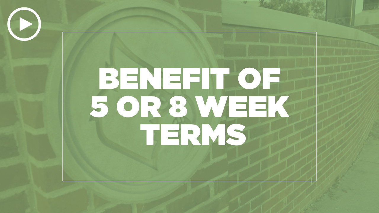 Online learning video - What are the benefit of 5 or 8 week terms?