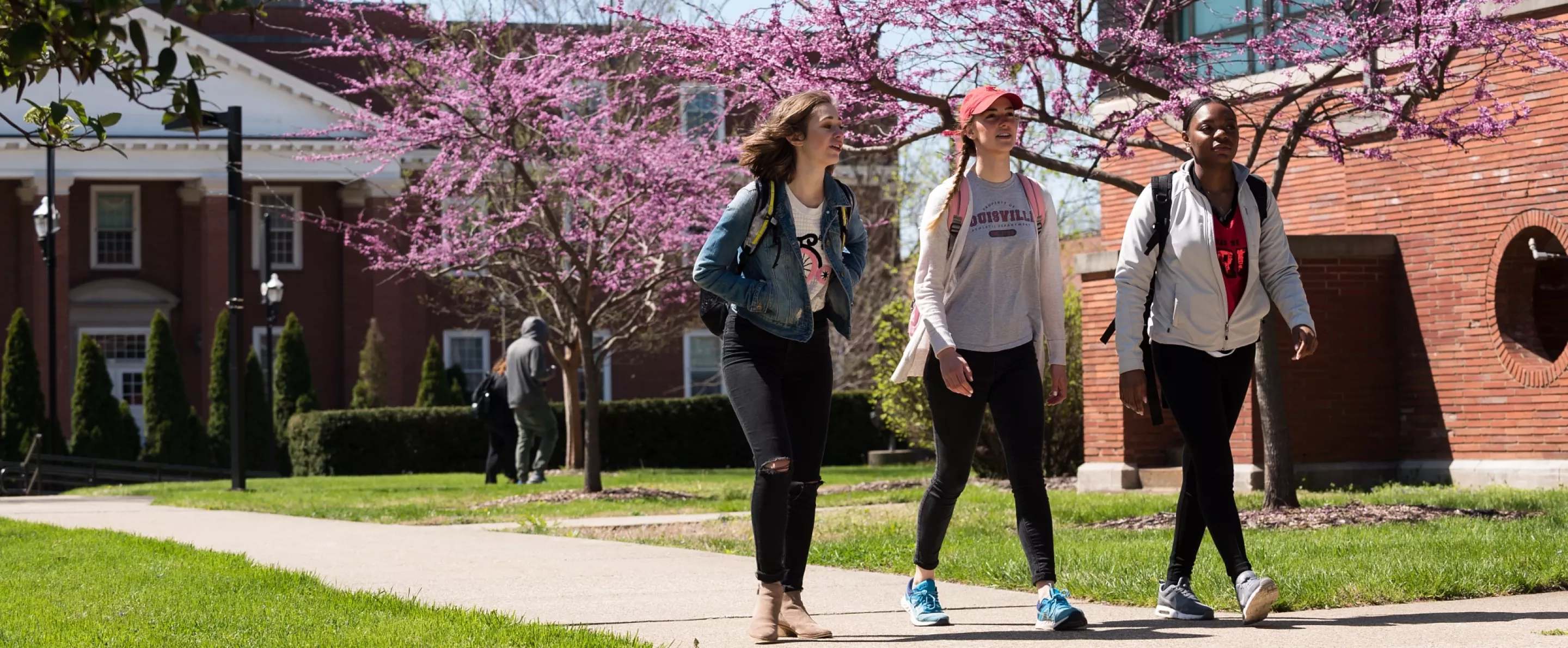 Students walking on campus on a spring day