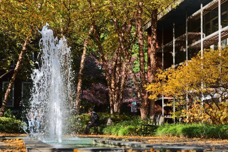 Man sitting in front of Schneider Hall fountain in fall