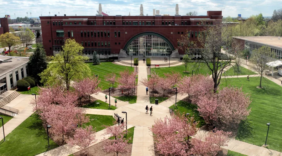 Aerial view of Lutz and sidewalk