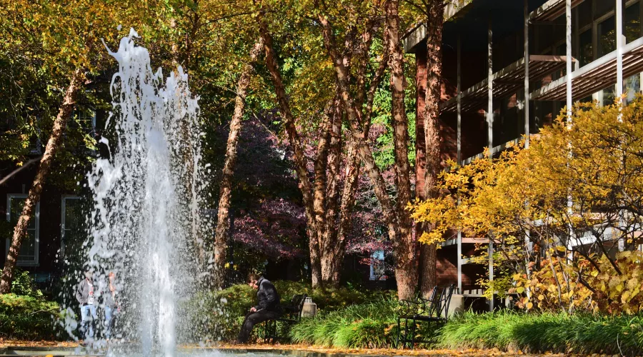 Man sitting in front of Schneider Hall fountain in fall
