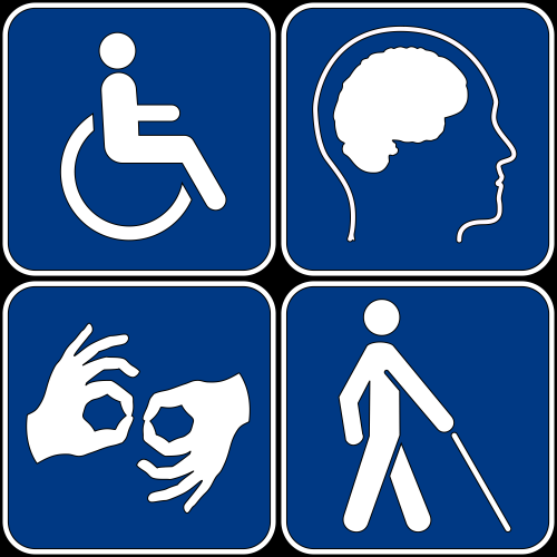 indicating multiple types of disability