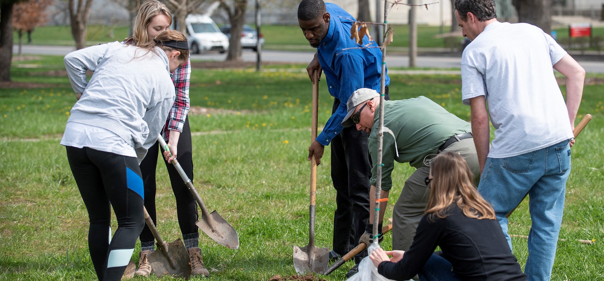 Student Volunteering