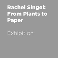 Rachel Singel: From Plants to Paper