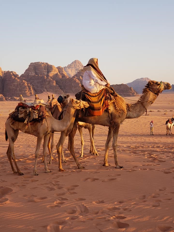 Man on a camel
