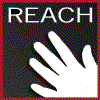 REACH hand
