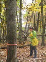 Horner field lab female student setting up rope climb