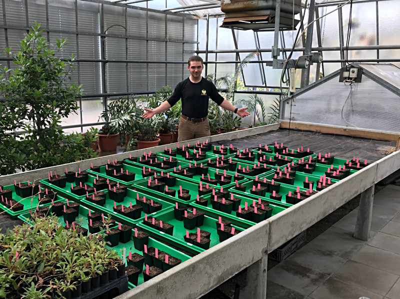 Phillip Sullivan working in the greenhouse