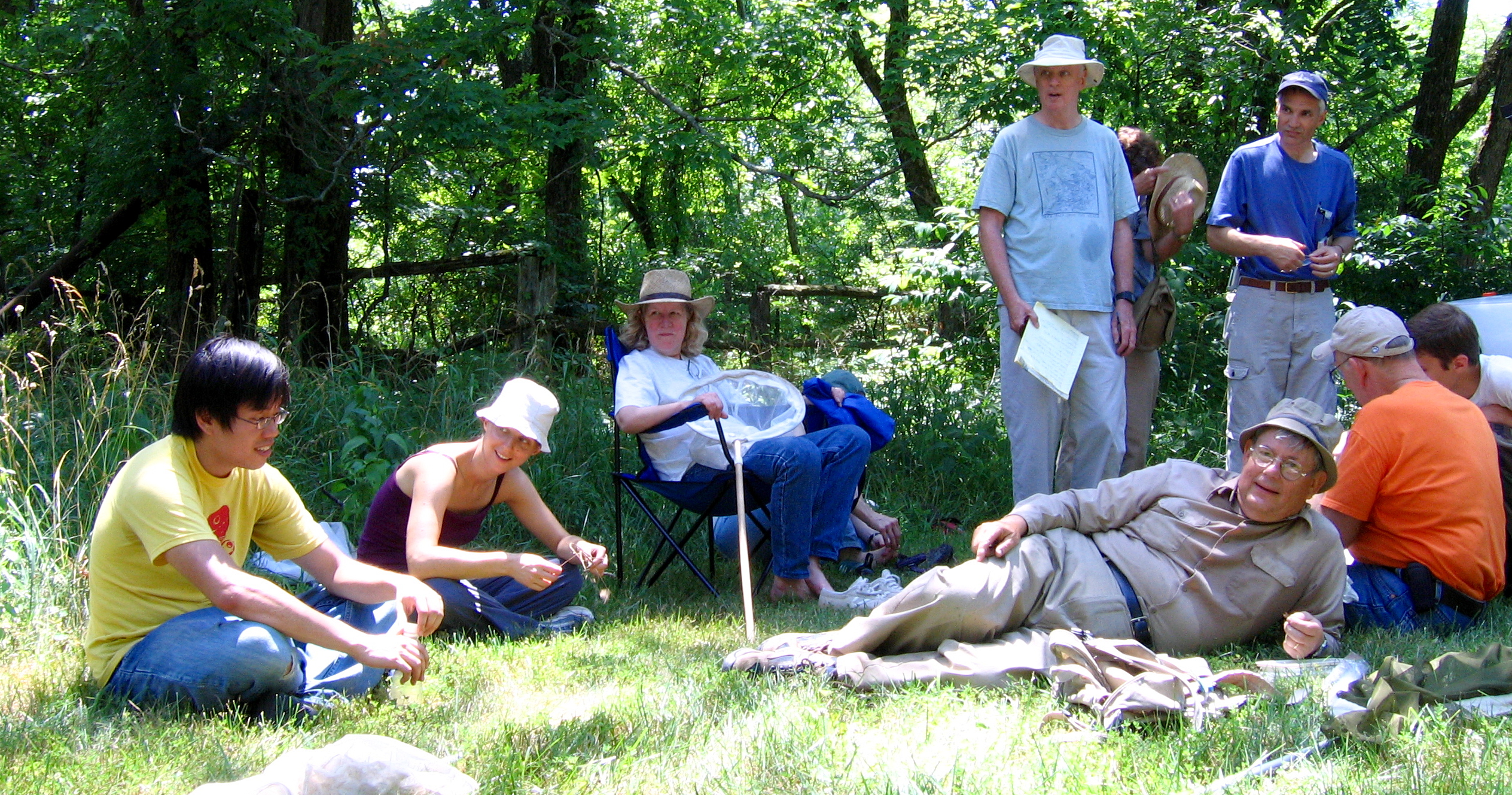 Butterfly count at Horner Reserve