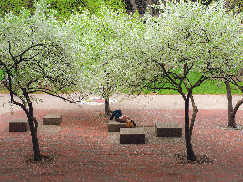 Student resting amidst blooming trees
