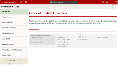 ULink - Make an International Payments