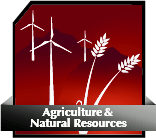 Agriculture & Natural Sciences