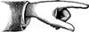 Banner 1 Thumb