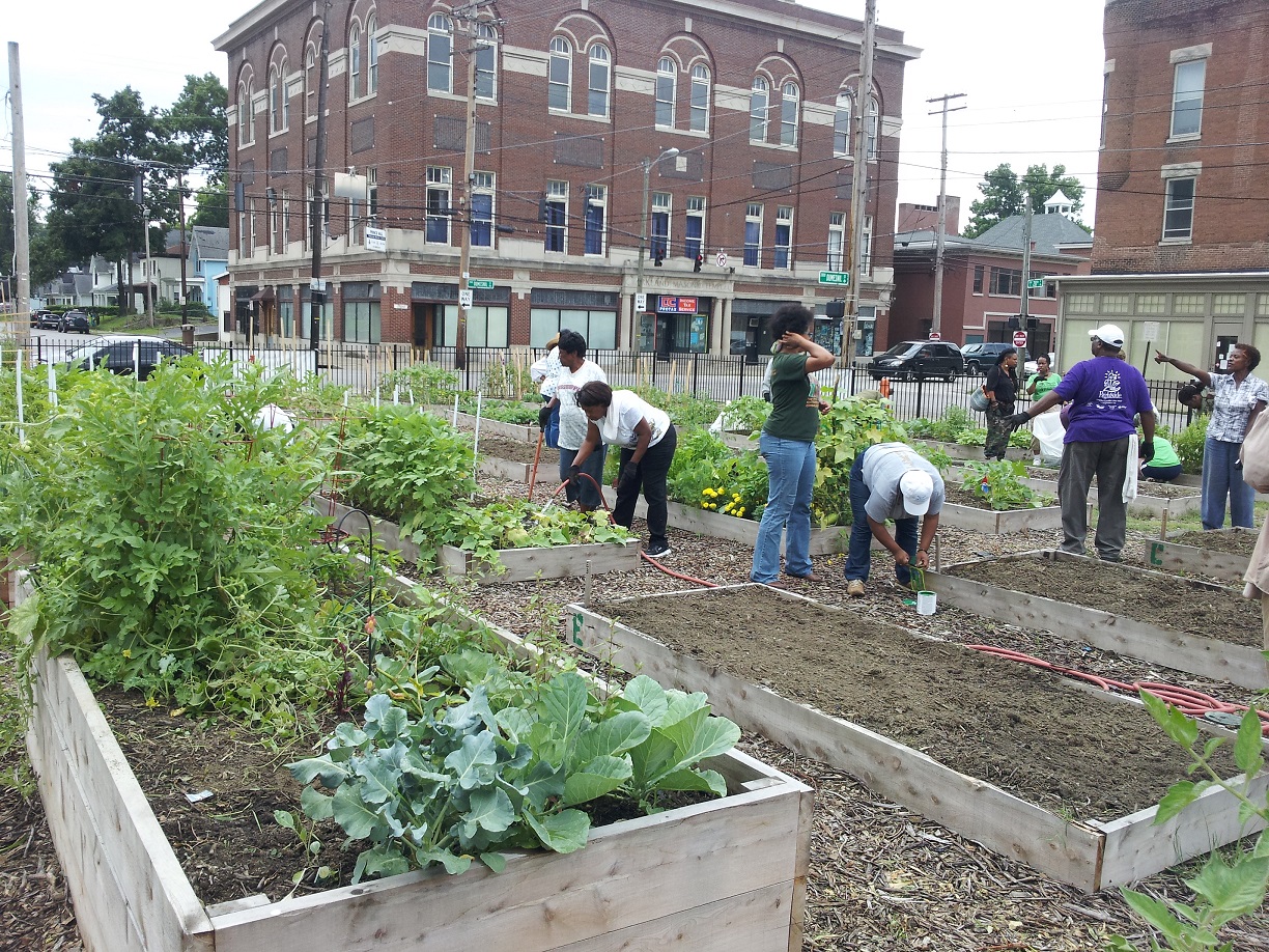 Build day 2 on 7-27-13
