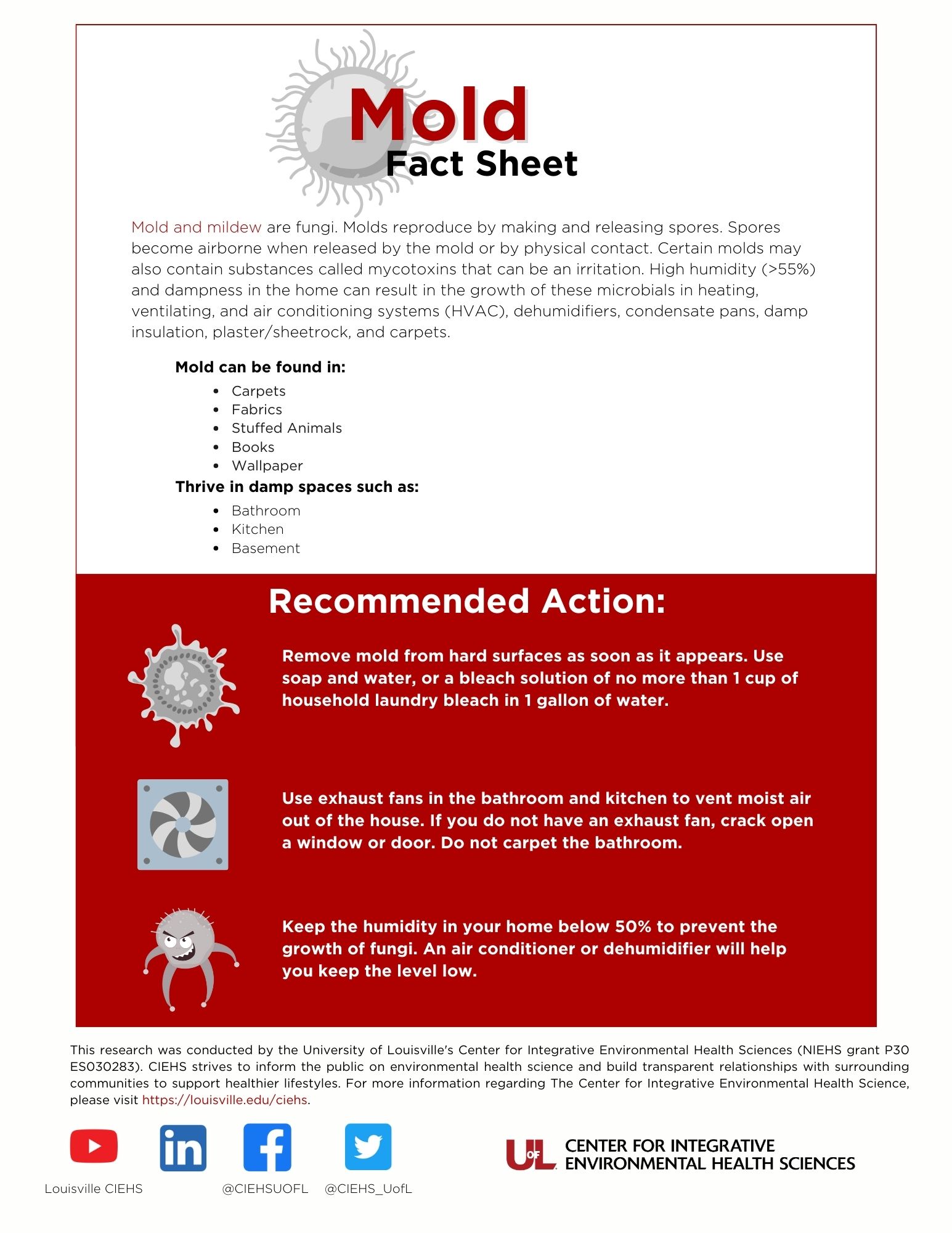 Mold Fact Sheet