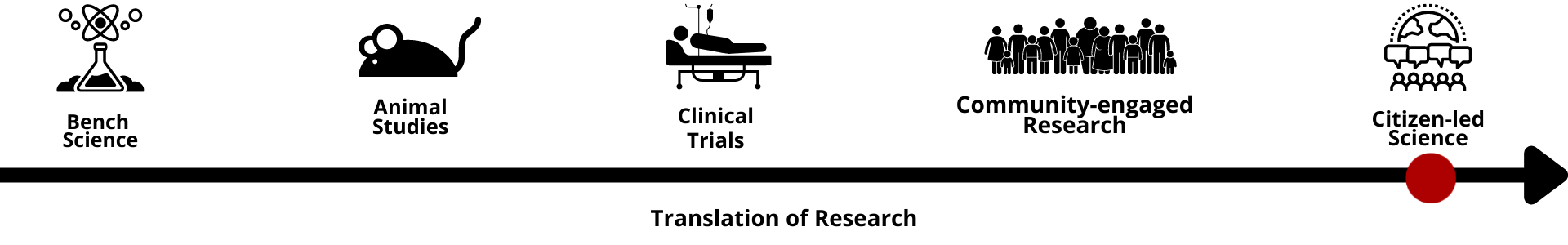 Translation of Research that shows different stages of research on a timeline. The steps are: Bench Science, Animal Studies, Clinical Trials, Community-engaged Research and Citizen-led Science