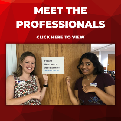 Meet the professionals title