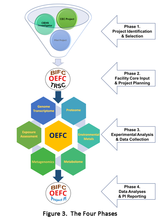The ITEMFC project identification and selection processes is informed and guided by a peer-review process (Phase 1). Final study design of successful project applications will be approved following ITEMFC review with input by the Biostatistics and Informatics Facility Core (BIFC) and the Integrated Health Science Facility Core (IHSFC) (Phase 2).  Methods validation, data collection and interim results vetting will occur under the guidance of the ITEMFC core leader and the shared resource director (Phase 3).  A review and reporting of data analysis results will be provided to the project PI with supporting interpretation by BIFC (Phase 4).  Remaining biologic samples will be returned as needed to the study PI and/or IHSFC for longer-term storage.