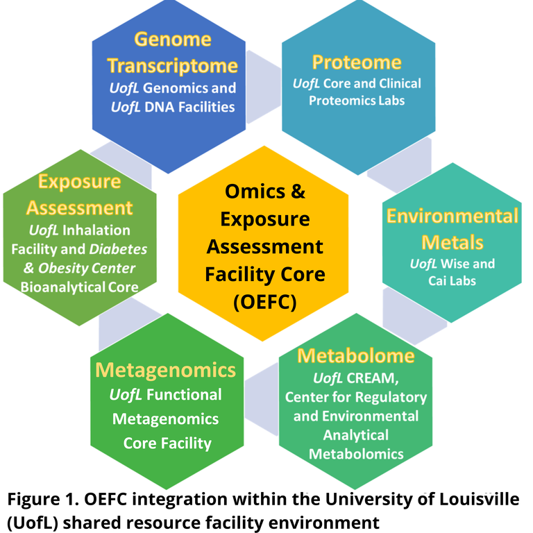 Figure 1. ITEMFC integration within the University of Louisville shared resource facility environment.