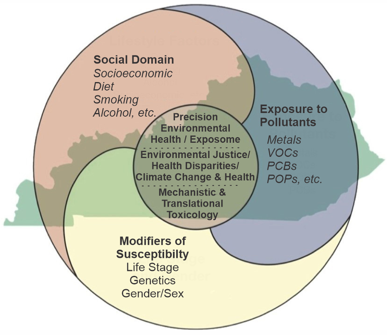 Figure 1.  CIEHS research seeks to understand how life style factors interact with exposure to environmental toxicants in human health and disease and how life stage, genetics and gender influence these interactions.
