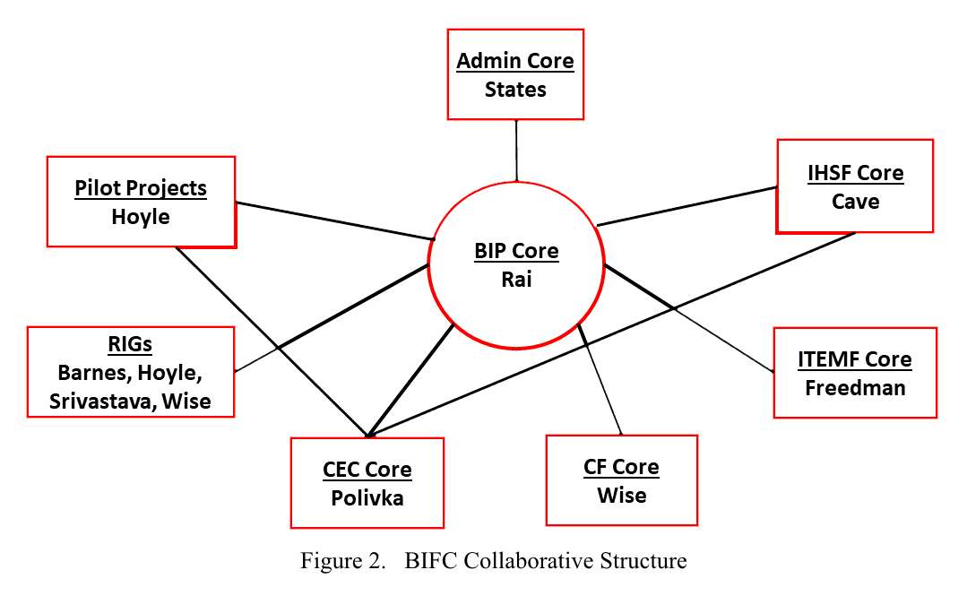 BIFC Collaborative Structure