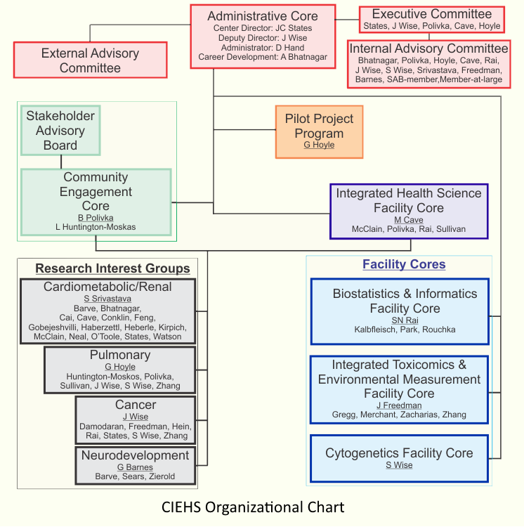 Center Organization Structure