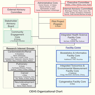 Center Organization Structure