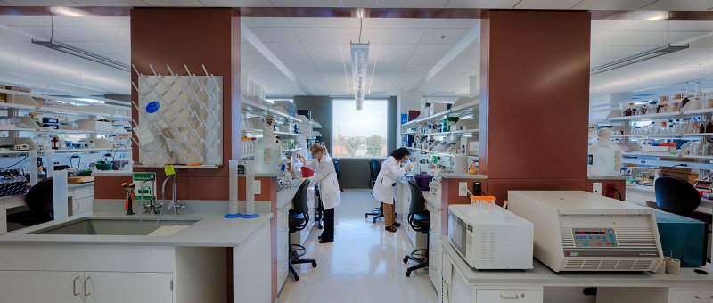 2 scientists work at a laboratory in the Clinical & Translational Research building