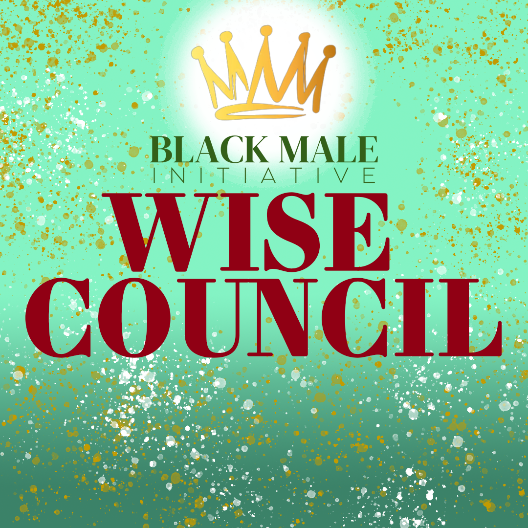 BMI 2022-23 Wise Council