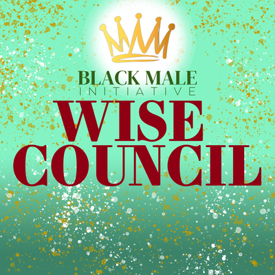 BMI 2022-23 Wise Council