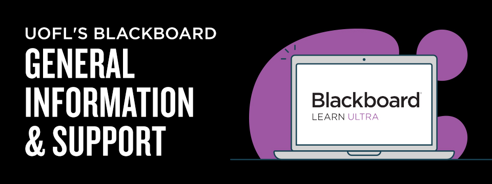 Take a virtual tour of the new Blackboard version changes