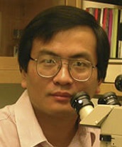 Image of Dr. Jiaiang Ding, PhD - Oral Immunology Infectious Diseases - University of Louisville School of Dentistry