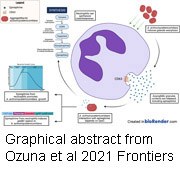 Ozuna et al 2021 abstract graphic