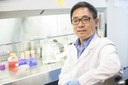 Wang earns grant to study disease that affects half of U.S. adults