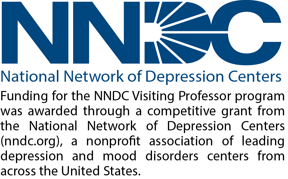 NNDC Visiting Professor