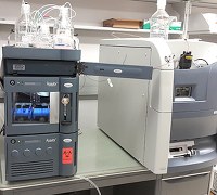 Waters Quattro Premier XE triple quadrupole MS with an Acquity Classic UPLC system