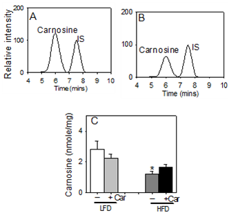 carnosine levels