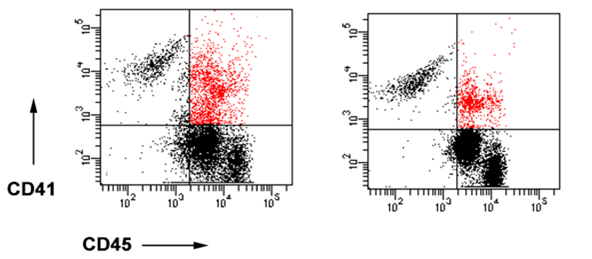 Cell sorting data example