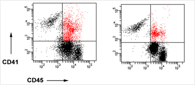 Cell sorting data example