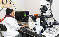 Nikon A1 laser scanning confocal microscope
