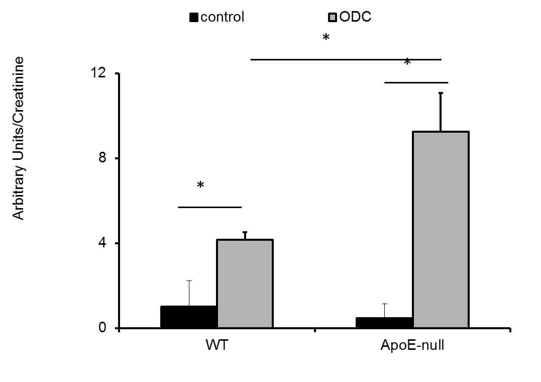 defilippis-fig1