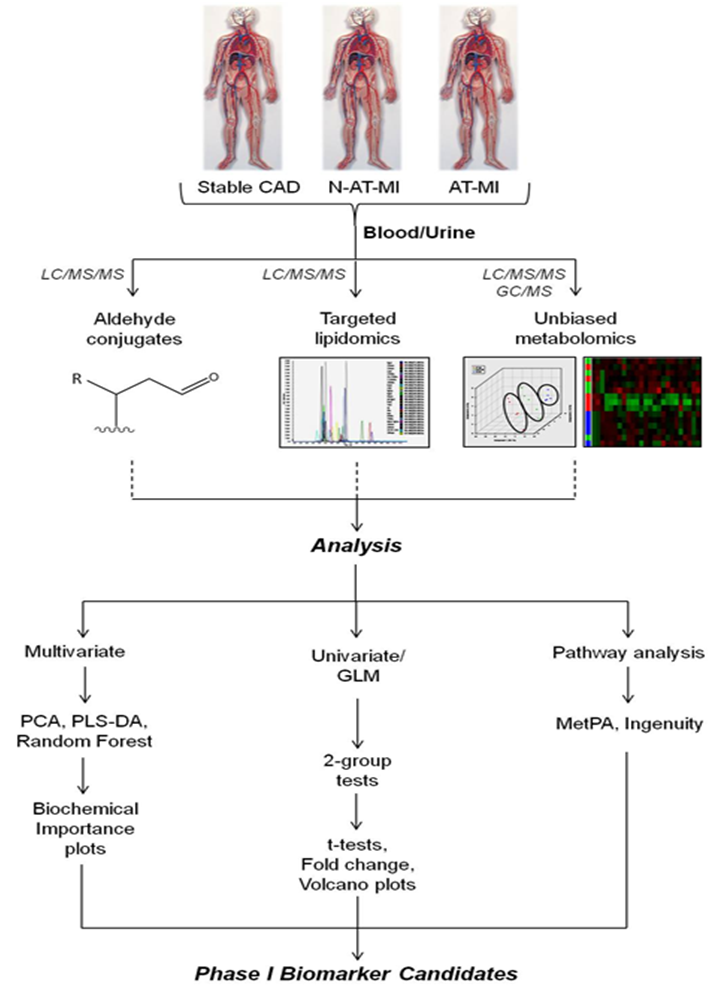 defilippis-fig2