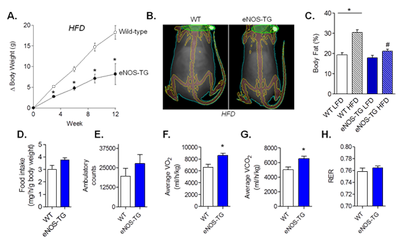 overexpression