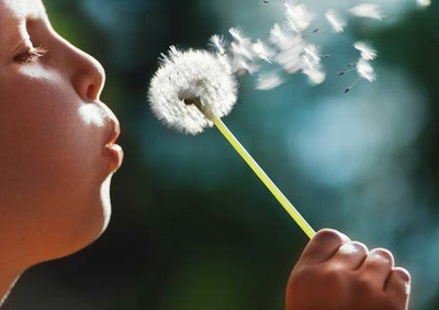 child blowing a dandelion