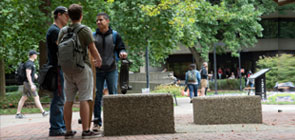 Students socializing in the quad