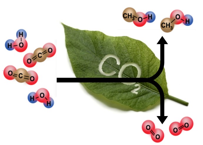 Carbon Dioxide Reduction