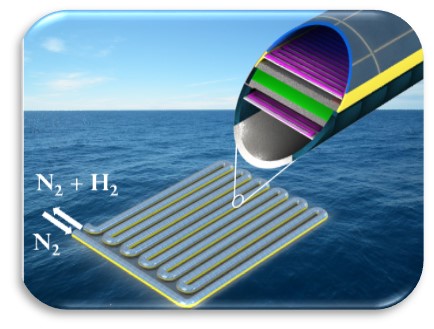 Novel Solar Fuels Designs