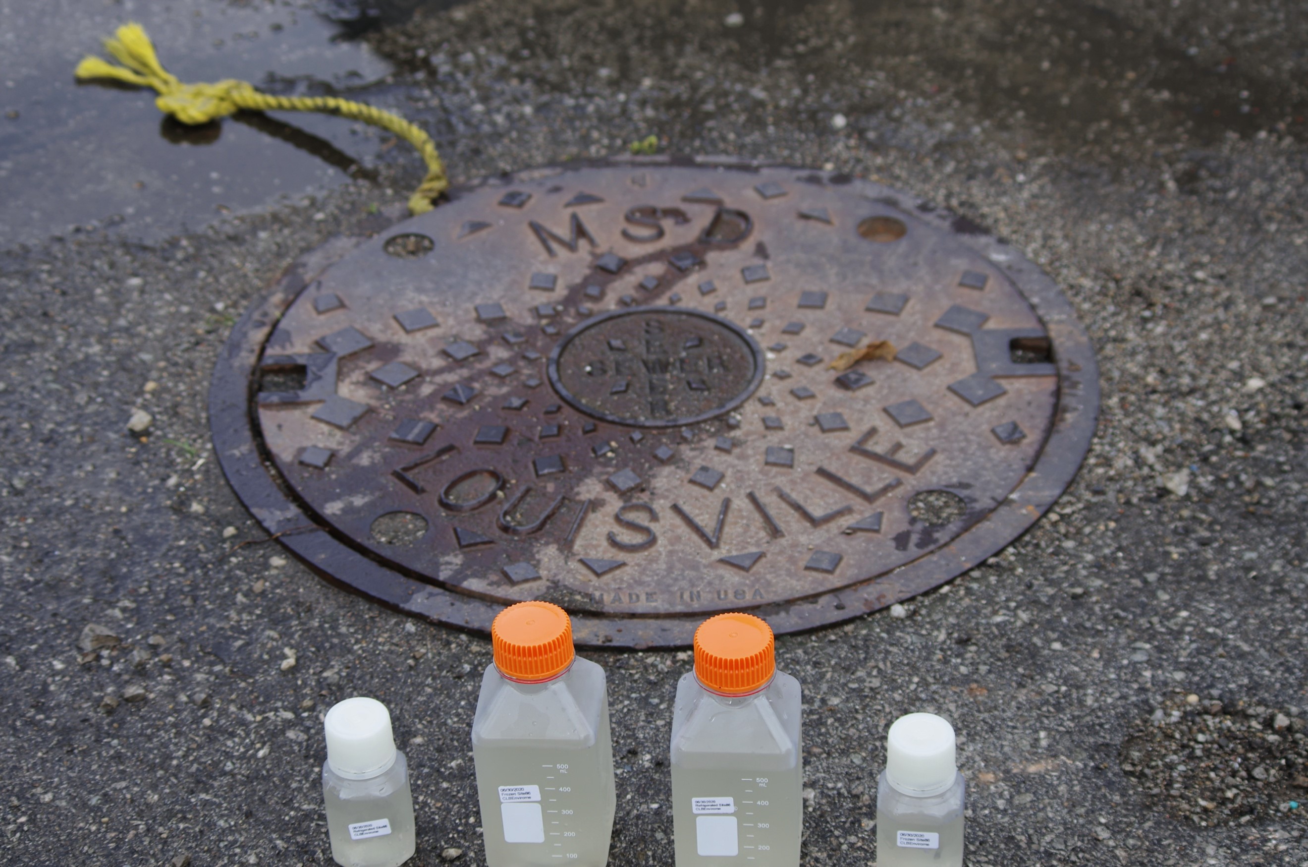 Samples with a manhole in the background