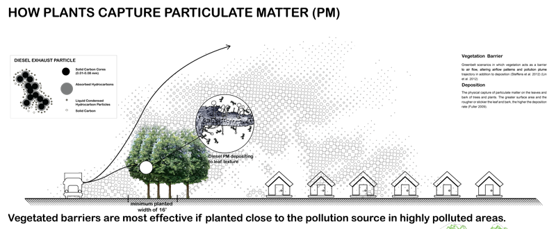 A graphic on how plants capture particulate matter